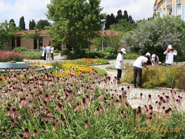 Zeytinburnu Tıbbi Bitkiler Bahçesi Çok Güzel Görüntüsü